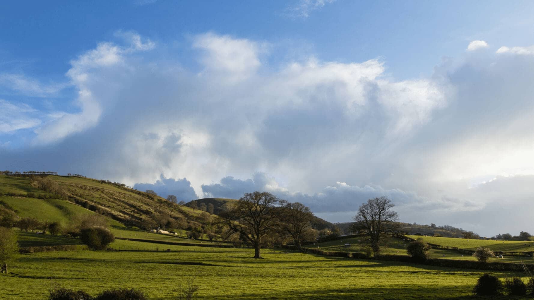 Looking west from Pentrenant Hall